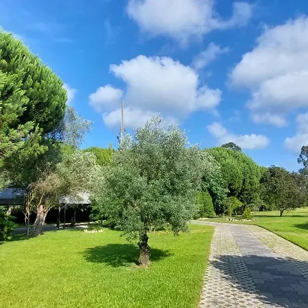 民宿 Quinta Do Mateus 阿威罗
