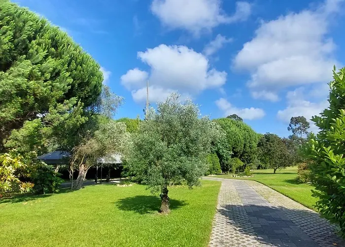 Séjour chez l'habitant Quinta Do Mateus Aveiro