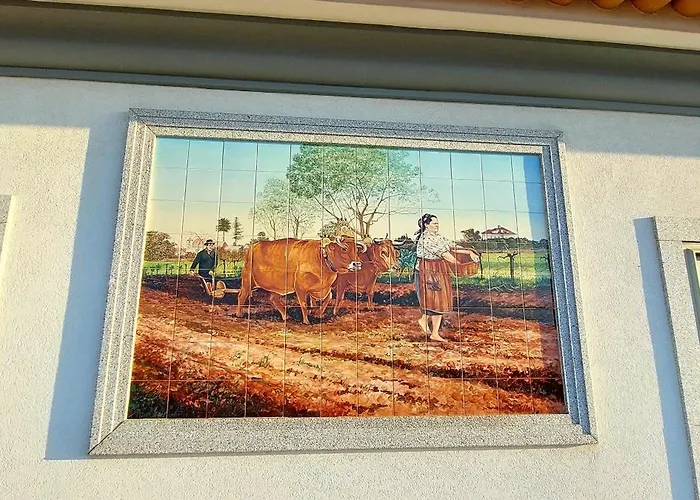 Quinta Do Mateus Séjour chez l'habitant *