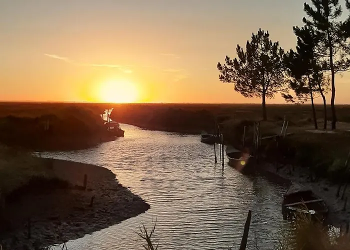 Quinta Do Mateus Séjour chez l'habitant *