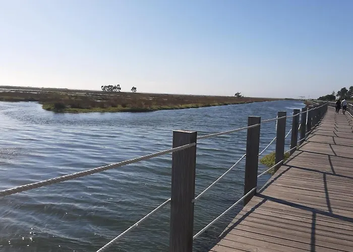 Séjour chez l'habitant Quinta Do Mateus Aveiro